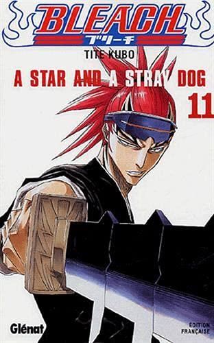 Bleach T.11 : A star and a stray dog